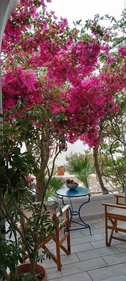 Stefos Rooms غاليساس المظهر الخارجي الصورة